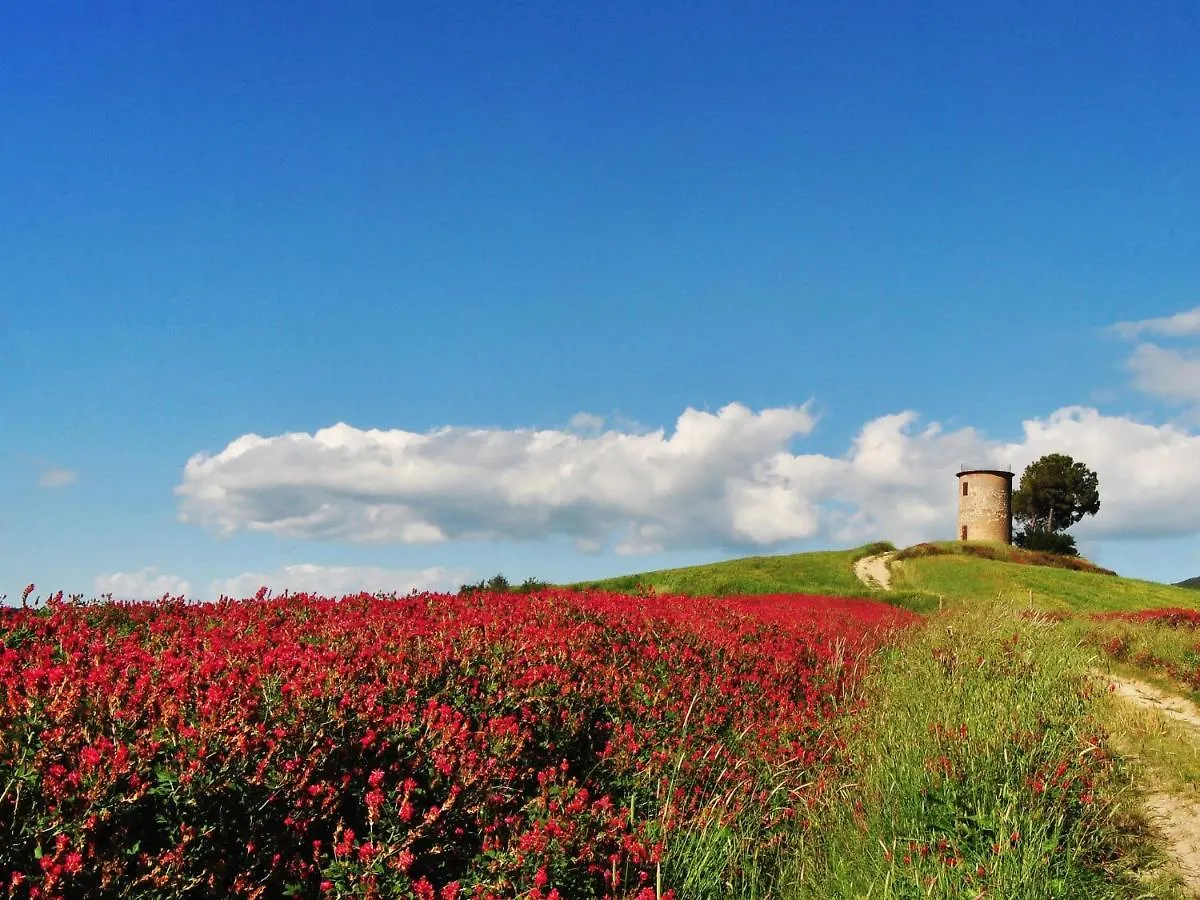 Holiday Home Il Fienile By Interhome Bibbona